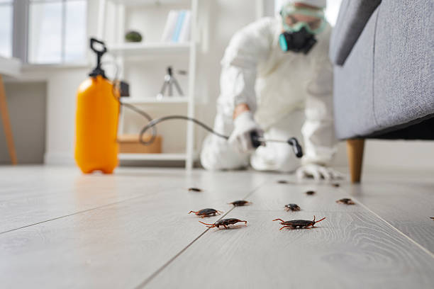 Commercial Kitchen Cockroach Control in Fairwood